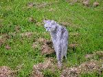 2006-0602-1418-29.jpg